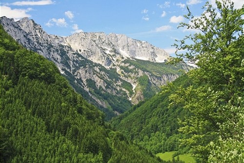 Austria Wildlife Parks: Where to See Native Species - Endangered native species in Nationalpark Kalkalpen