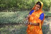 Gesunde Mangroven, nachhaltige Garnelen: Erste Erfolge für GNF-Projekt in Indien und Bangladesch