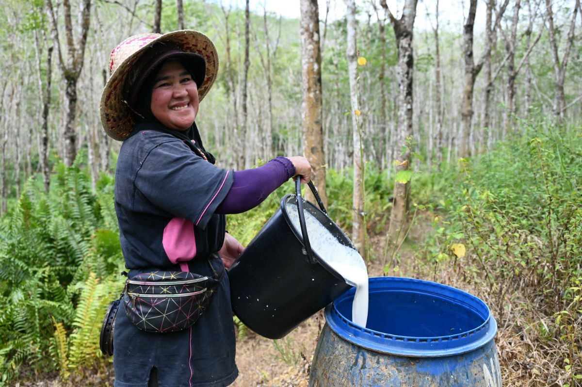 Fair Rubber: A visit to the rubber tappers on Sumatra