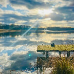 Ein See im Wandel: Crivitzer See ist „Lebendiger See des Jahres 2024“