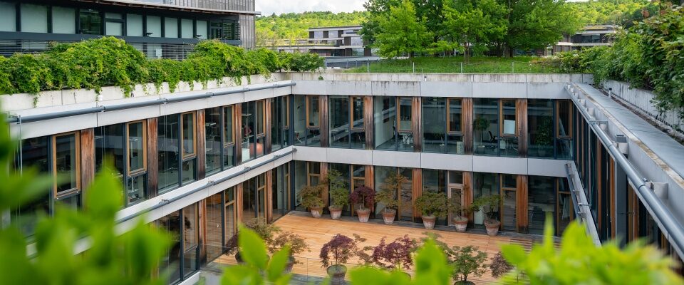 Company for biodiversity – UBi
