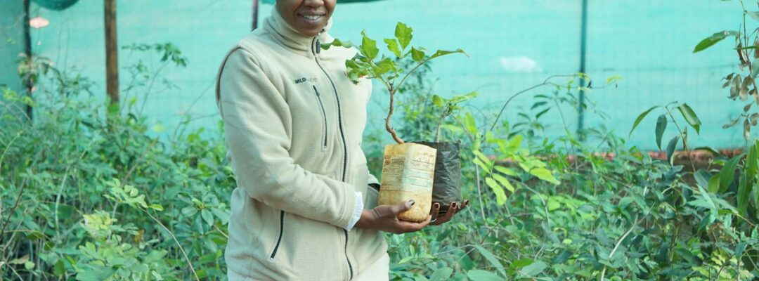 Securing sustainable livelihoods in South Africa
