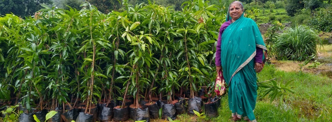 Reforestation of a biodiversity hotspot