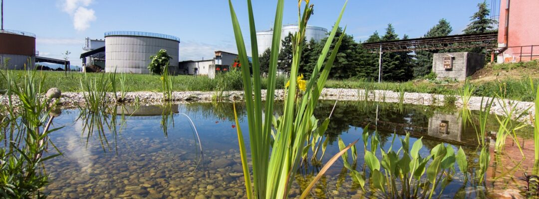 Biodiversitäts-Management