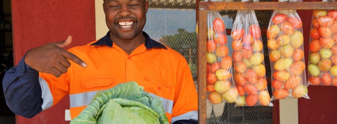 Welverdiend – vegetable gardens against hunger