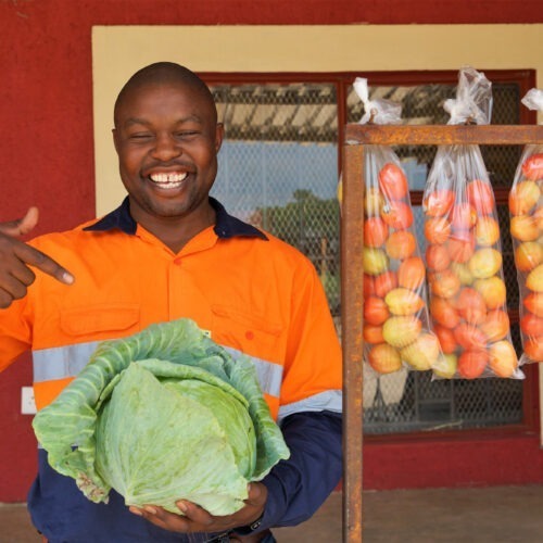 Vegetable gardens against hunger