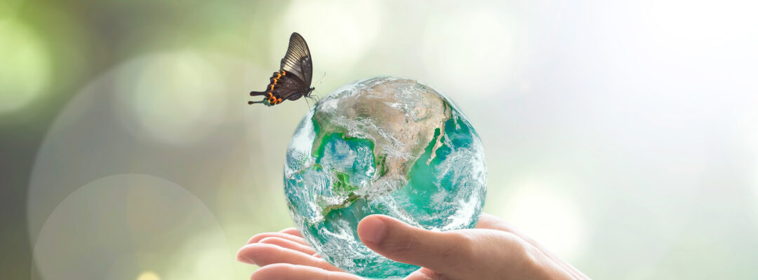 Biodiversity Check