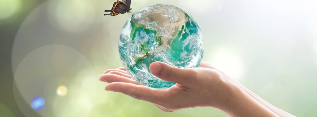 Biodiversity Check