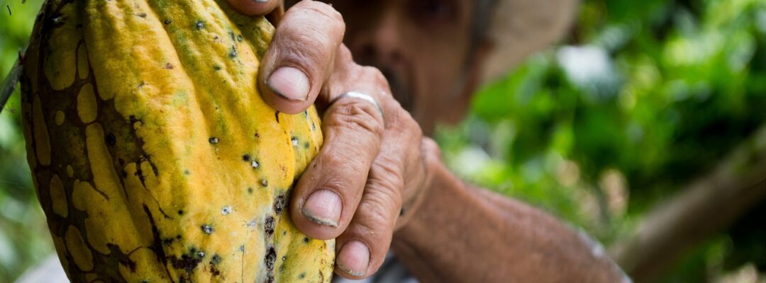 Biodiversity and supply chains