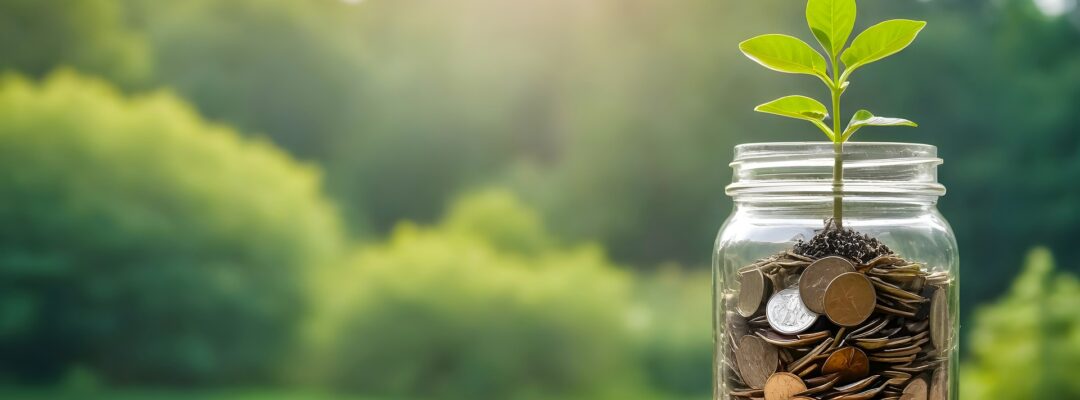 Sustainable Finance