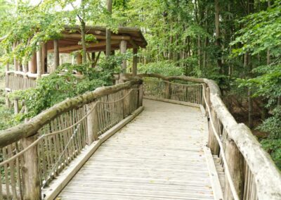Barrierefreies Naturerleben in Umweltbildungseinrichtungen