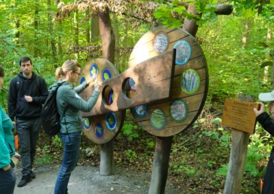 Barrierefreies Naturerleben in Umweltbildungseinrichtungen