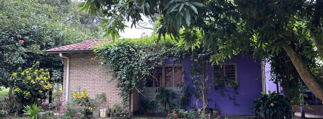 Protecting the last remaining Atlantic rainforest in Paraguay