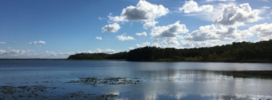 Opportunities and prospects for wetlands