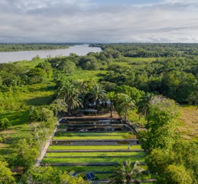 Partners for 25 years: Kärcher and the Global Nature Fund