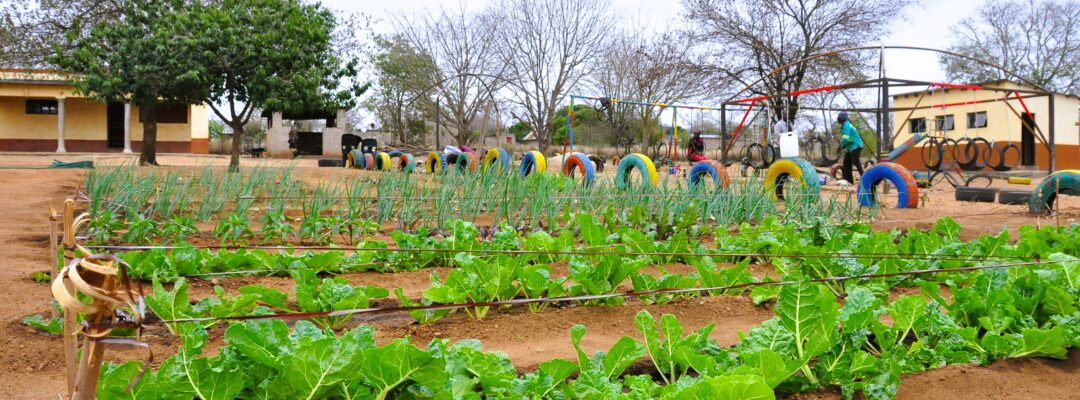 Food security for children in South Africa