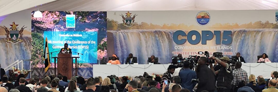 Ramsar COP 15 in Victoria Falls