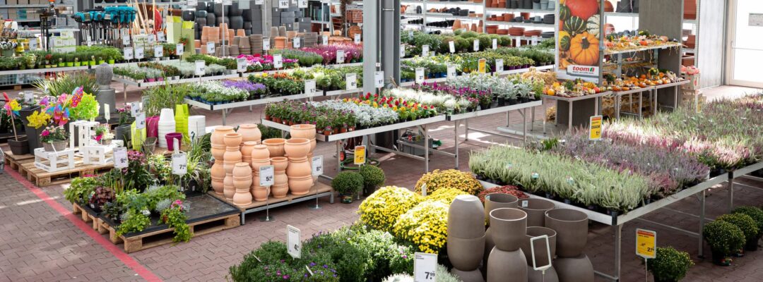 Biodiversität im Baumarkt: Wie toom neue Potenziale erkennt