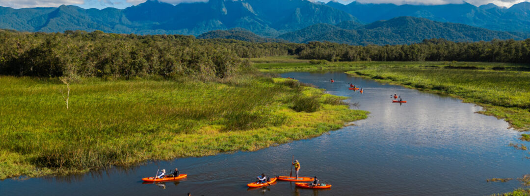 Sustainable Future for Young People and the Atlantic Rainforest