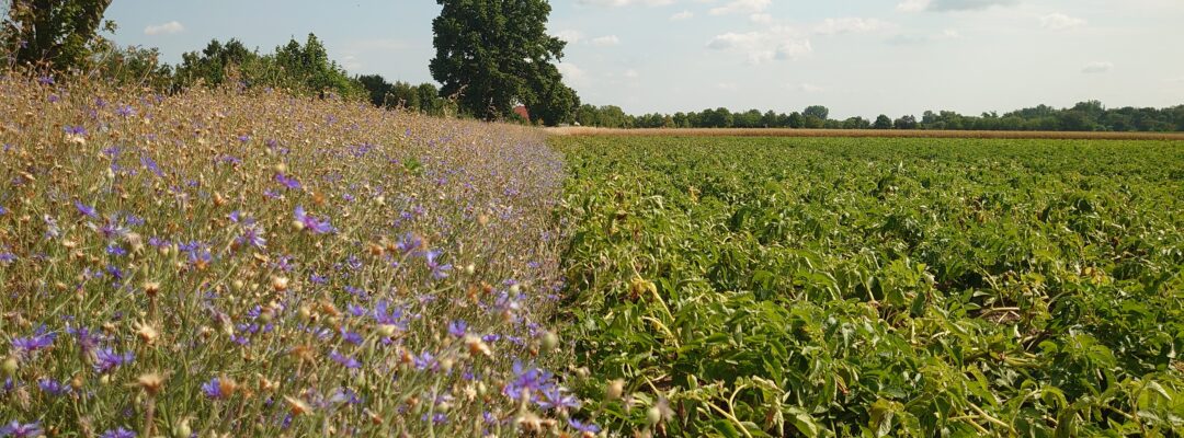 Biodiversität braucht Politikwechsel
