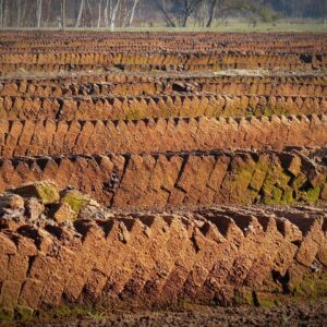 For hobby and professional horticulture: “HORTICERT” certificate