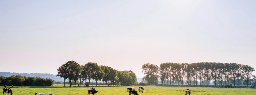 Webinar-Reihe „Fit for Biodiversity“: Lebensmittelbranche rüstet sich gegen Biodiversitätsrisiken