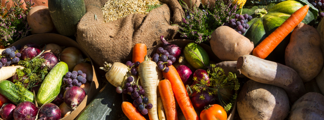Biodiversity and food