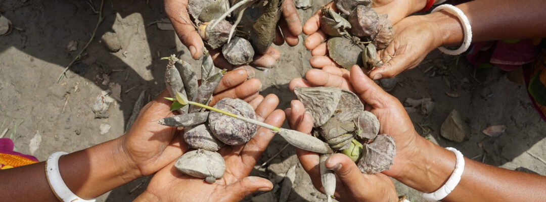Sponsoring: Environmental protection projects