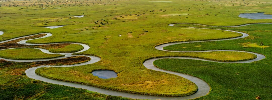 Neues SBTN Accelerator-Angebot hilft Unternehmen Biodiversität strategisch mitzudenken