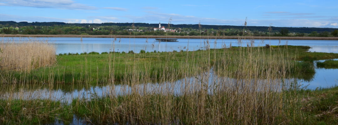 Werden Sie „Ramsar Wetland City“ – Feuchtgebiets-Stadt
