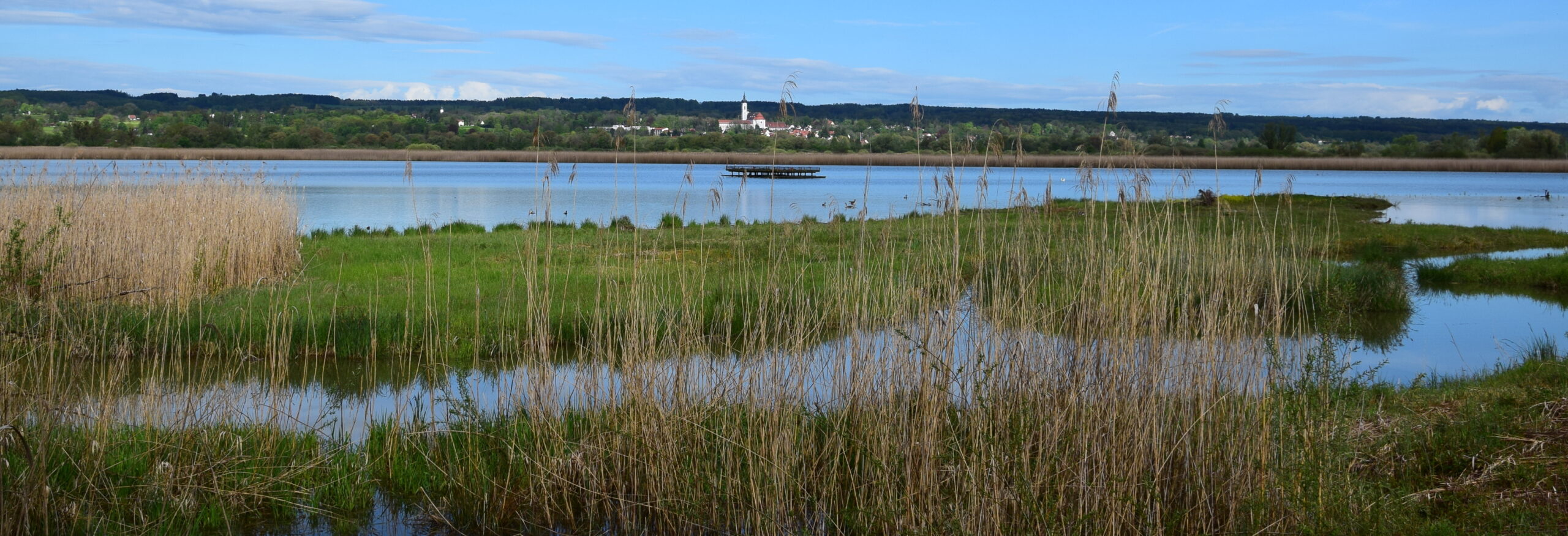 Become a “Ramsar Wetland City”