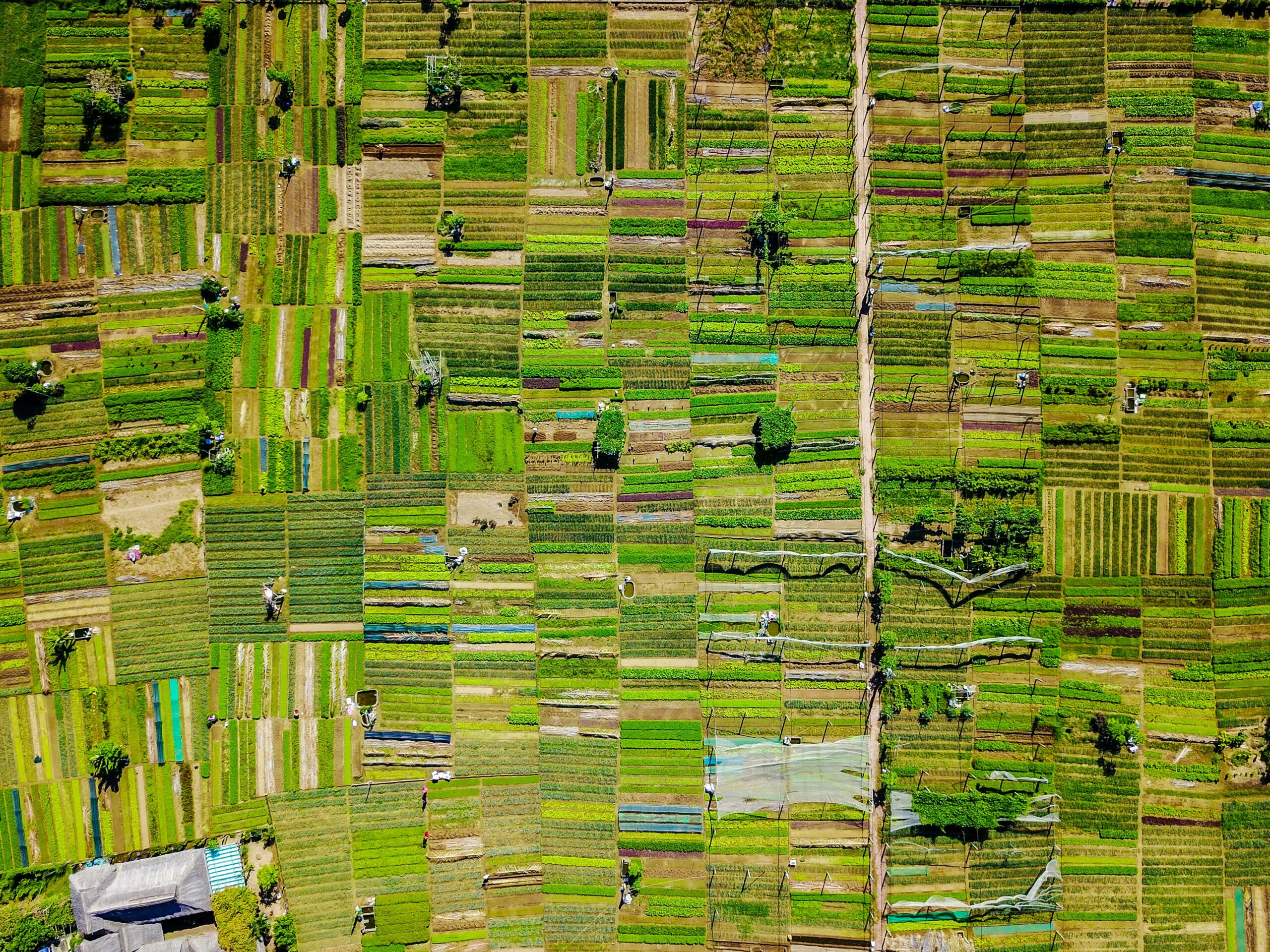 Webinar: Biodiversity Risks in Food and Textile Supply Chains