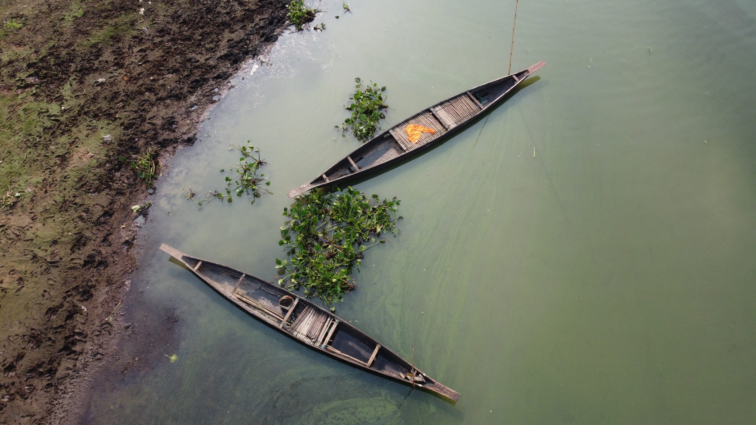 17th International Living Lakes Conference 2026: Heading to India and the Sundarbans