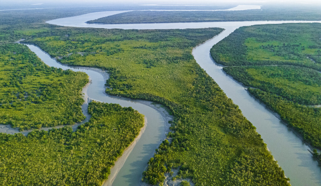 UN-Welt-Seen-Tag am 27. August 2026: GNF und Living Lakes nominieren Indiens Sundarbans