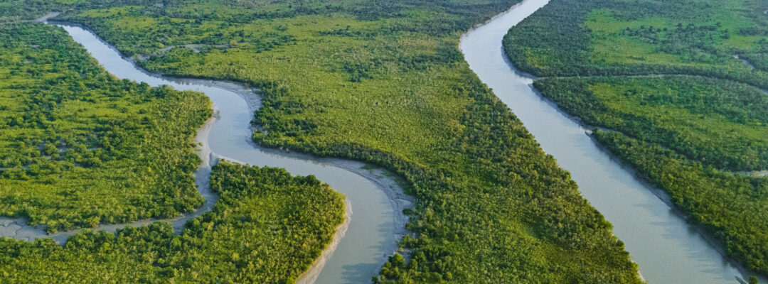 UN-Welt-Seen-Tag am 27. August 2026: GNF und Living Lakes nominieren Indiens Sundarbans