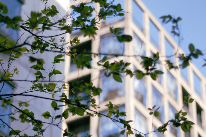 Biodiversität im Unternehmen: Prioritäten und Maßnahmen definieren