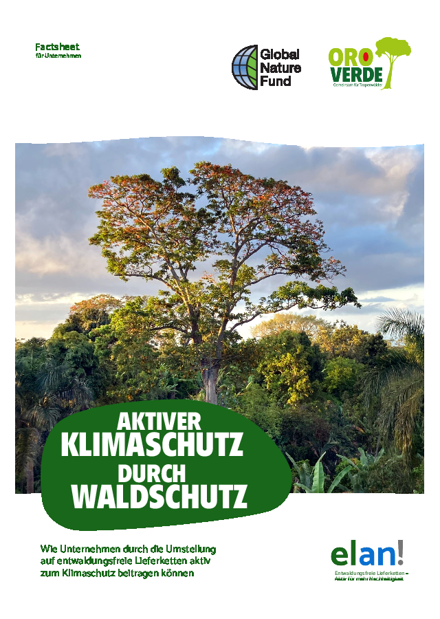 Aktiver Klimaschutz durch Waldschutz