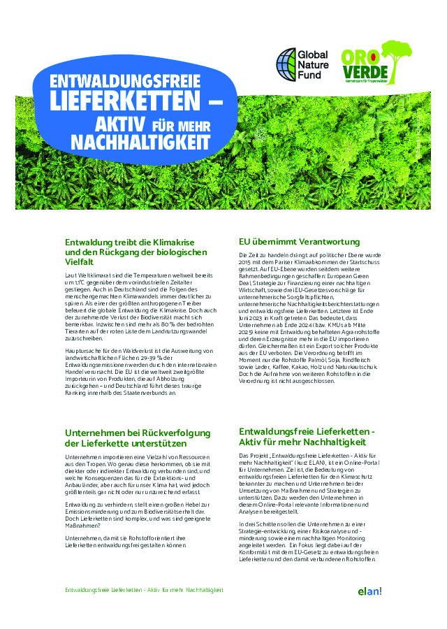 Entwaldungsfreie Lieferketten - Aktiv für mehr Nachhaltigkeit