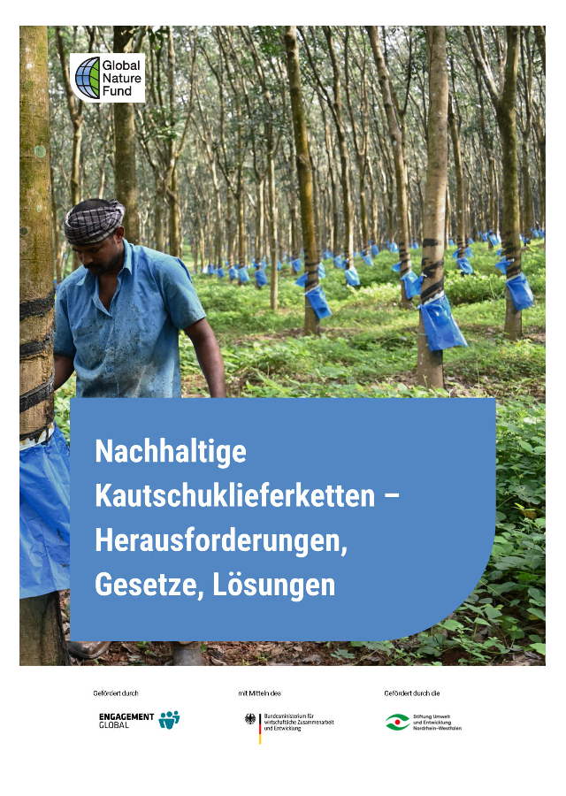 Naturkautschuk-Lieferkette nachhaltig gestalten