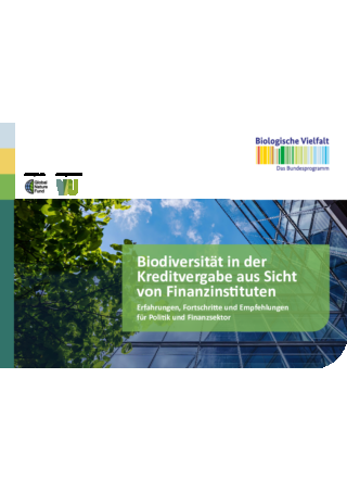 UBi Publikation: Biodiversität in der Kreditvergabe aus Sicht von Finanzinstituten
