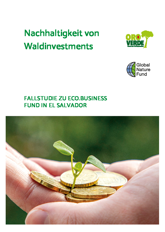 Nachhaltigkeit von Waldinvestments – Fallstudie zu eco.business Fund in El Salvador