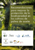 Guía Palma de Aceite y Biodiversidad