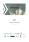 VISIONARY Analytical Framework
