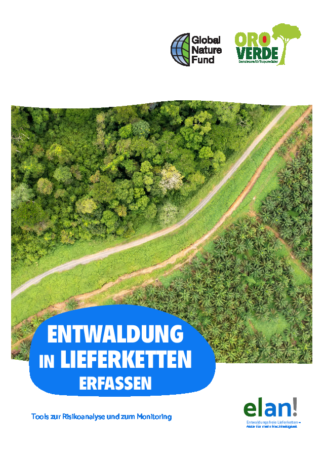 Entwaldung in Lieferketten erfassen - Tools zur Risikoanalyse und zum Monitoring